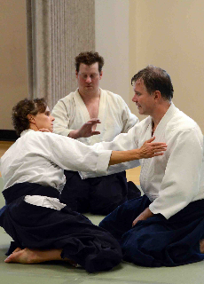 Jan Nevelius sensei